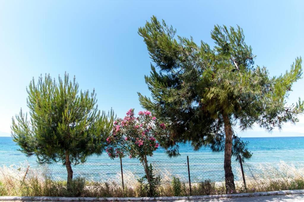Seafront 2 Bedrooms Apartment Неа Ираклия Екстериор снимка