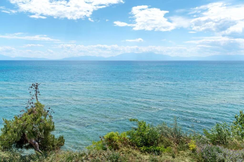 Seafront 2 Bedrooms Apartment Неа Ираклия Екстериор снимка