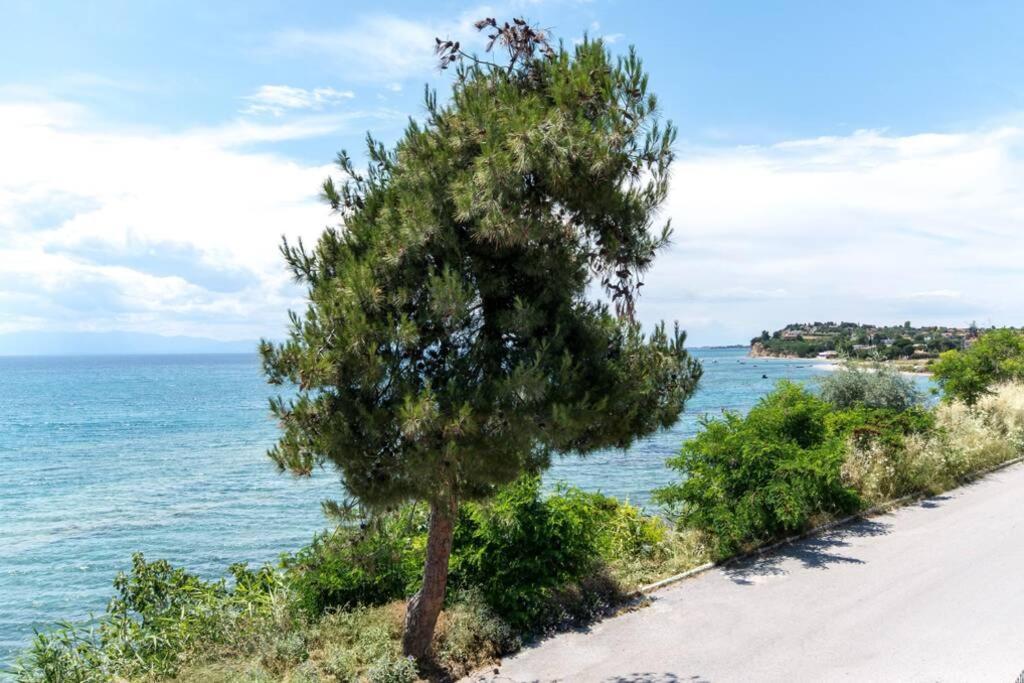 Seafront 2 Bedrooms Apartment Неа Ираклия Екстериор снимка